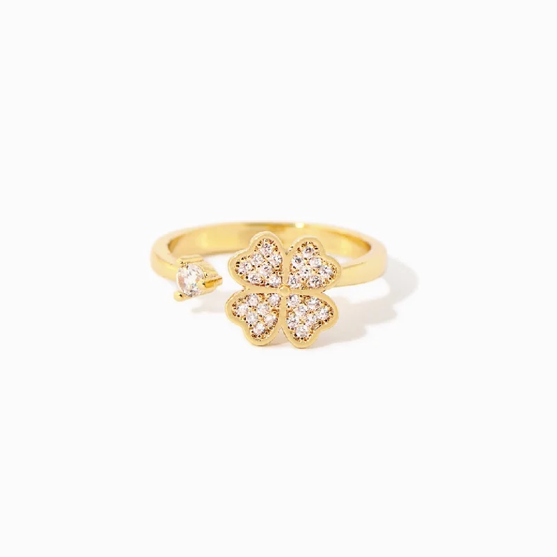 Must-Have Jewelry Pieces At Reduced Prices To My Daughter Clover Fidget Ring